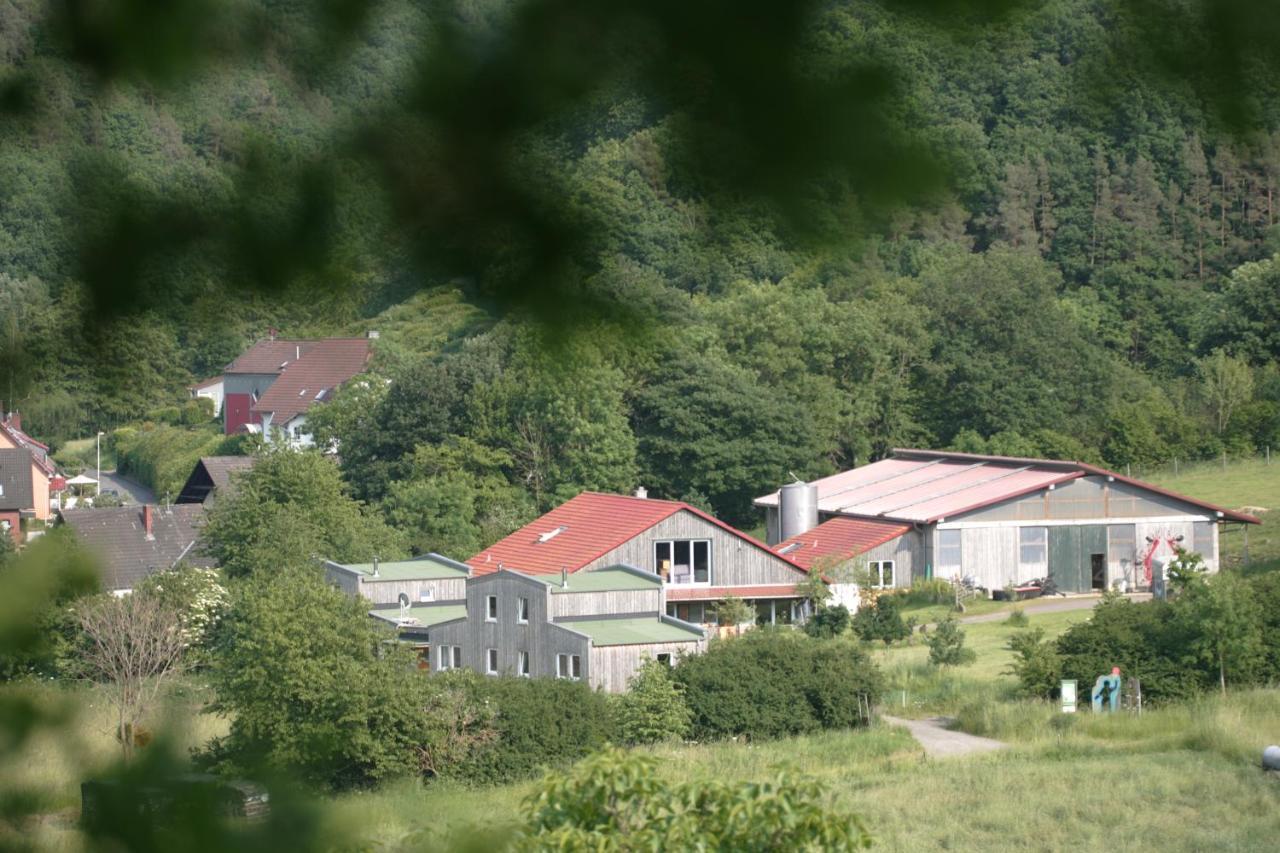 Rech Hof Urlaub Auf Dem Bauernhof Apartment Schalkenbach Ngoại thất bức ảnh